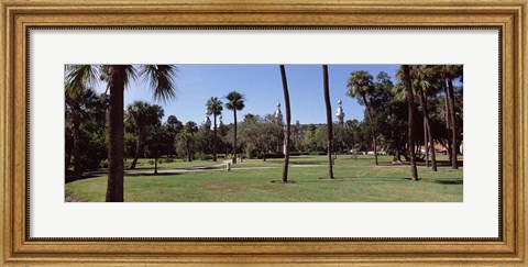 Framed Trees in a campus, University Of Tampa, Florida Print