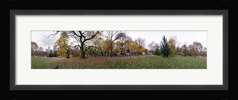 Framed Horse and carriages in a park, Central Park, Manhattan, New York City, New York State, USA Print