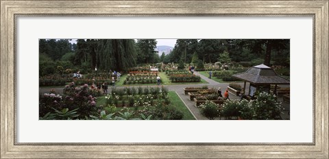 Framed Tourists in a rose garden, International Rose Test Garden, Washington Park, Portland, Multnomah County, Oregon, USA Print