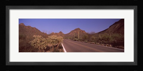 Framed Road Through Saguaro National Park, Arizona Print