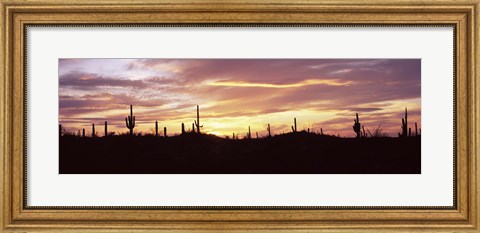 Framed Purple and Orange Sky Over Saguaro Nataional Park, Arizona Print