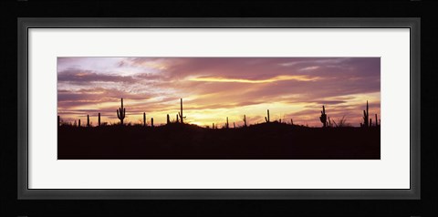 Framed Purple and Orange Sky Over Saguaro Nataional Park, Arizona Print