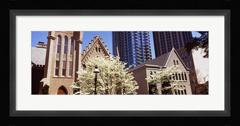 Framed Trees in front of a building, Charlotte, Mecklenburg County, North Carolina, USA Print