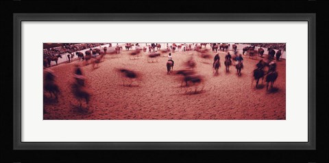 Framed Rodeo arena, Fort Worth Stock Show and Rodeo, Fort Worth, Texas, USA Print