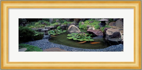 Framed Japanese Garden, University of California, Los Angeles Print