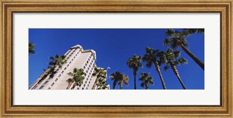 Framed Low angle view of palm trees, Downtown San Jose, San Jose, Silicon Valley, Santa Clara County, California Print