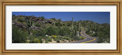 Framed Road Through The Desert, Phoenix, Arizona, USA Print