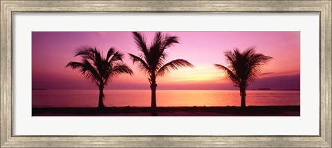 Framed Miami Beach, Florida, USA Print