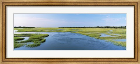 Framed Sea grass in the sea, Atlantic Coast, Jacksonville, Florida, USA Print