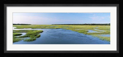 Framed Sea grass in the sea, Atlantic Coast, Jacksonville, Florida, USA Print