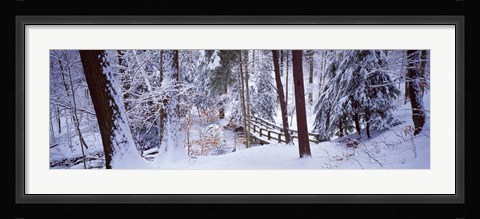Framed Winter footbridge Cleveland Metro Parks, Cleveland OH USA Print