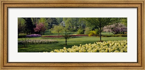 Framed Sherwood Gardens, Baltimore, Maryland Print