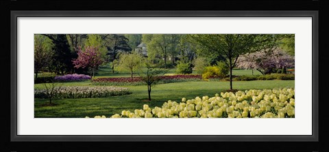Framed Sherwood Gardens, Baltimore, Maryland Print