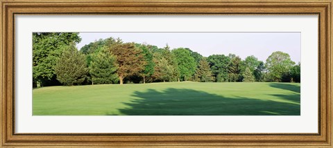 Framed Trees on a golf course, Woodholme Country Club, Baltimore, Maryland, USA Print