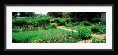 Framed USA, Virginia, Williamsburg, colonial garden Print