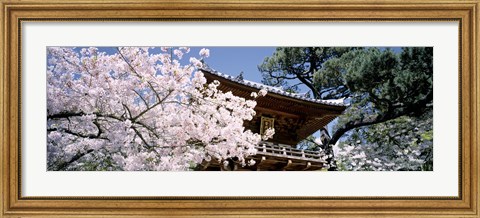 Framed Golden Gate Park, Japanese Tea Garden Print