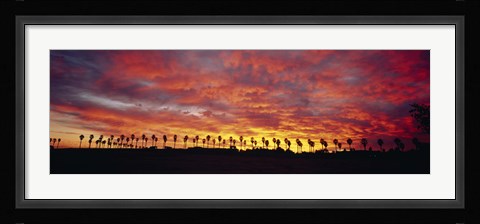 Framed Silhouette of palm trees at sunrise, San Diego, San Diego County, California, USA Print