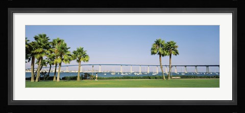 Framed Palm trees on the coast with bridge in the background, Coronado Bay Bridge, San Diego, San Diego County, California, USA Print