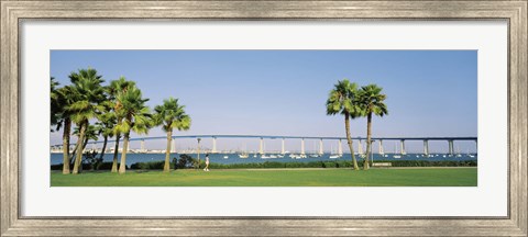 Framed Palm trees on the coast with bridge in the background, Coronado Bay Bridge, San Diego, San Diego County, California, USA Print