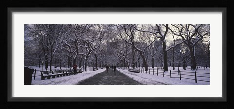Framed Bare trees in a park, Central Park, New York City, New York State, USA Print