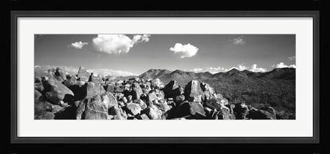 Framed Boulders on a landscape, Saguaro National Park, Tucson, Pima County, Arizona, USA Print