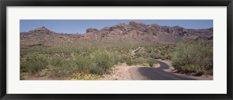 Framed USA, Arizona, Dreamy Draw Park, Cactus along a road Print
