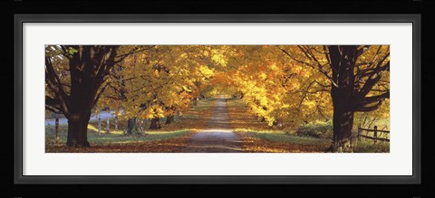Framed Road, Baltimore County, Maryland, USA Print