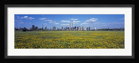 Framed Yellow Flowers in a park with Manhattan in the background, New York City Print