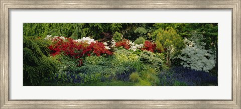 Framed High Angle View Of Flowers In A Garden, Baltimore, Maryland, USA Print