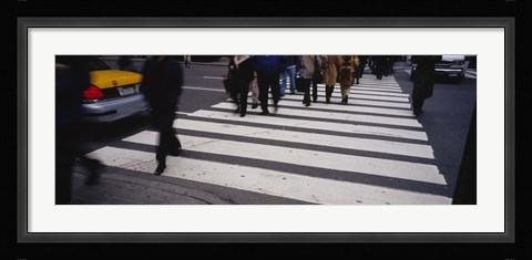 Framed Group of people crossing at a zebra crossing, New York City, New York State, USA Print
