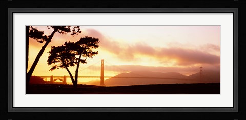 Framed Silhouette of trees at sunset, Golden Gate Bridge, San Francisco, California, USA Print