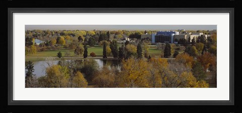 Framed High angle view of trees, Denver, Colorado, USA Print