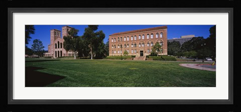 Framed Lawn in front of a Royce Hall and Haines Hall, University of California, City of Los Angeles, California, USA Print