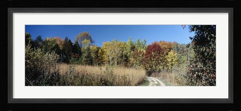 Framed Dirt road passing through a forest, University of Wisconsin Arboretum, Madison, Dane County, Wisconsin, USA Print
