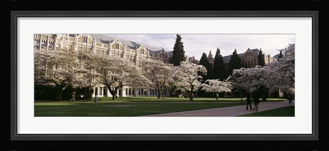 Framed University of Washington, Seattle, King County, Washington State Print
