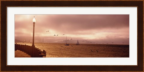 Framed Sailboats in the sea, San Francisco Bay, Golden Gate Bridge, San Francisco, California, USA Print