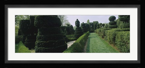 Framed Sculptures formed from trees and plants in a garden, Ladew Topiary Gardens, Monkton, Baltimore County, Maryland, USA Print