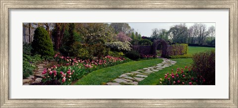 Framed Flowers in a garden, Ladew Topiary Gardens, Monkton, Baltimore County, Maryland, USA Print