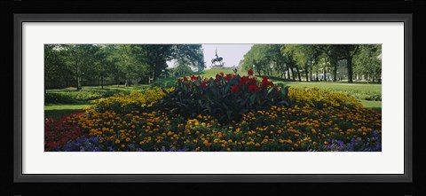 Framed Flowers in a park, Grant Park, Chicago, Cook County, Illinois, USA Print
