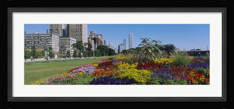 Framed Flowers in a garden, Welcome Garden, Grant Park, Michigan Avenue, Roosevelt Road, Chicago, Cook County, Illinois, USA Print