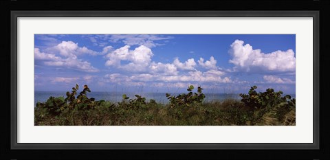 Framed Tampa Bay, Gulf Of Mexico, Anna Maria Island, Florida Print