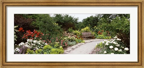 Framed Bench in a garden, Olbrich Botanical Gardens, Madison, Wisconsin, USA Print