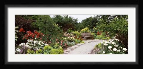 Framed Bench in a garden, Olbrich Botanical Gardens, Madison, Wisconsin, USA Print