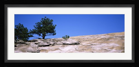 Framed Trees on a mountain, Stone Mountain, Atlanta, Fulton County, Georgia Print