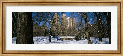 Framed Bare trees with buildings in the background, Central Park, Manhattan, New York City, New York State, USA Print