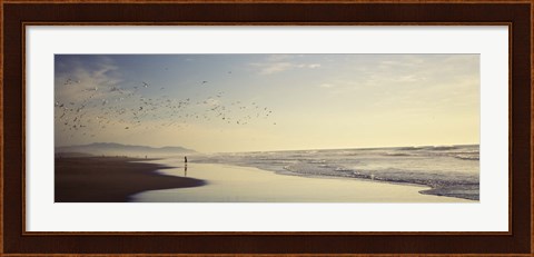Framed Flock of seagulls flying above a woman on the beach, San Francisco, California, USA Print