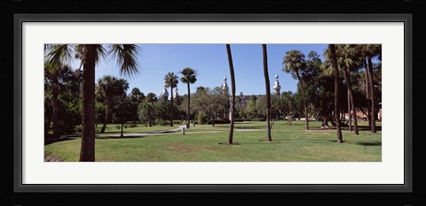 Framed Trees in a campus, University Of Tampa, Florida Print