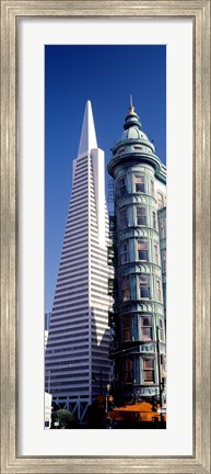 Framed Low angle view of towers, Columbus Tower, Transamerica Pyramid, San Francisco, California, USA Print
