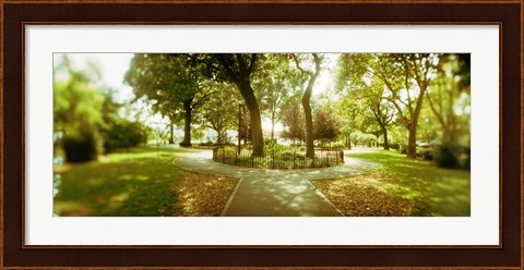 Framed Trees in a park, McCarren Park, Greenpoint, Brooklyn, New York City, New York State, USA Print