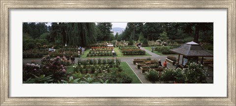 Framed Tourists in a rose garden, International Rose Test Garden, Washington Park, Portland, Multnomah County, Oregon, USA Print